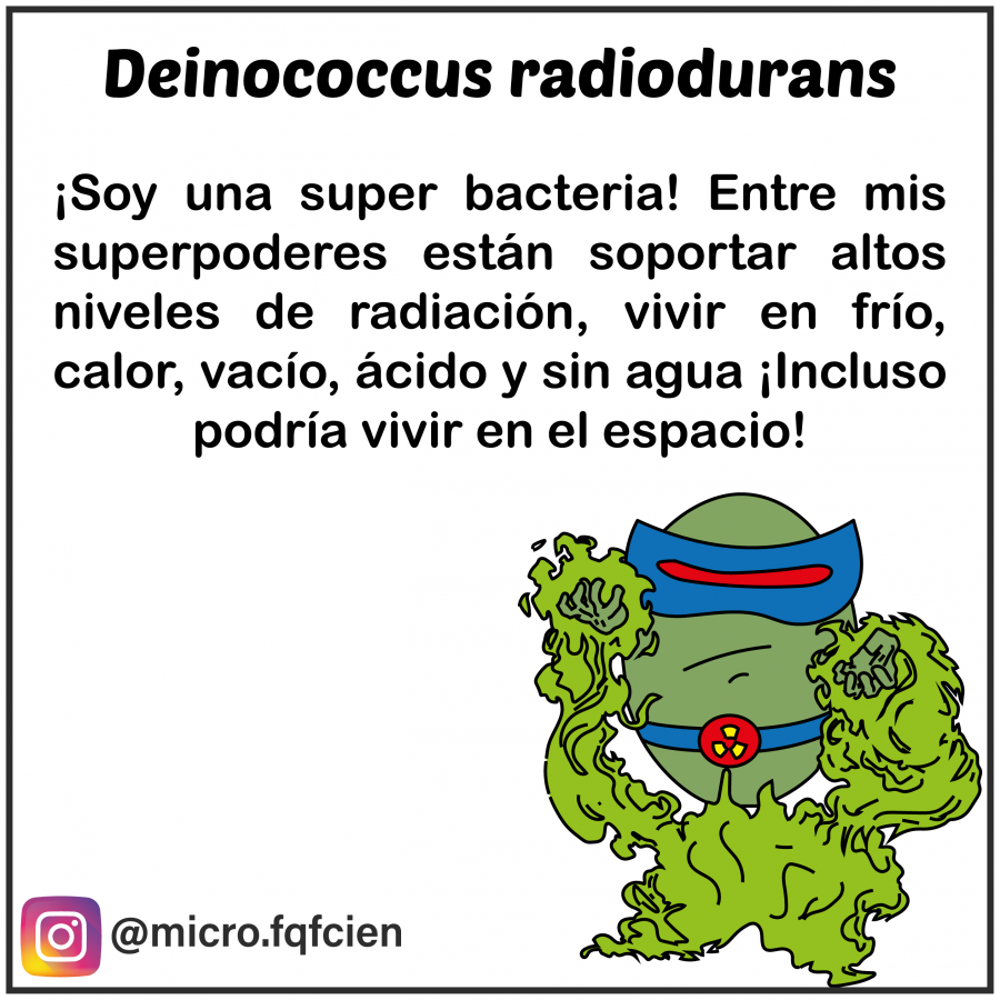 tarjetas_de_microorganismos-13.png