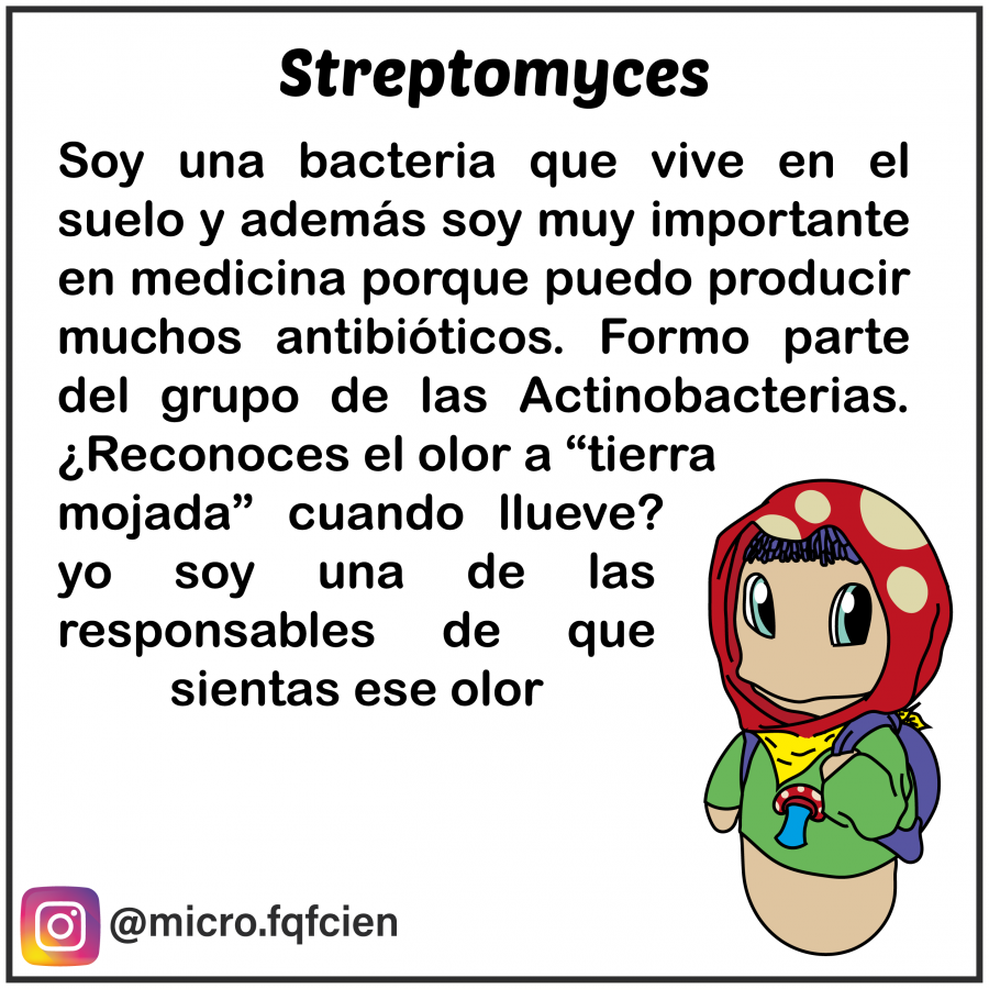 tarjetas_de_microorganismos-10.png