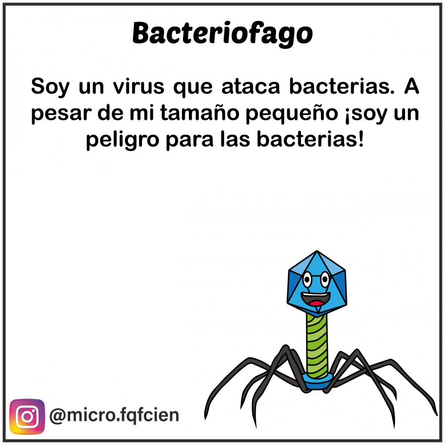 tarjetas_de_microorganismos-03.png