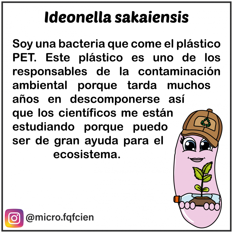 tarjetas_de_microorganismos-12.png