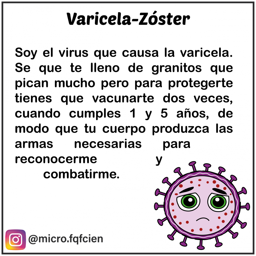 tarjetas_de_microorganismos-17.png