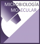 micro_mol_vac_ver.png