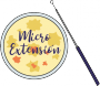 logo_extension.png